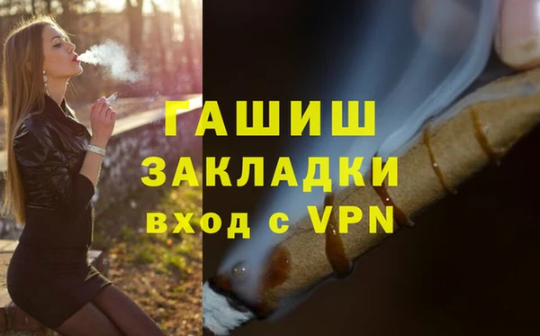шишки Осташков