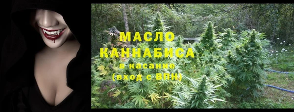 шишки Осташков