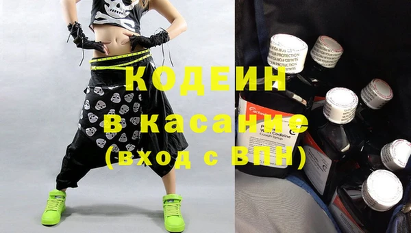 шишки Осташков