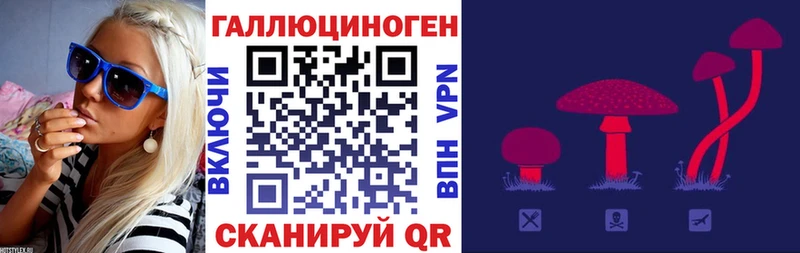 где можно купить   Мышкин  Псилоцибиновые грибы ЛСД 